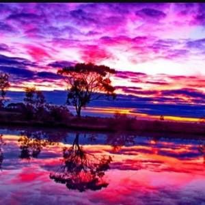 Meet your Posher, Juanita